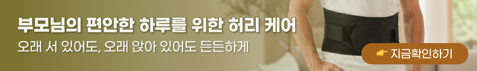 허리보호대